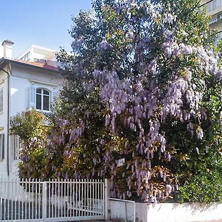 villa Rue Velasquez Villa *